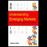Understanding Emerging Markets Building Business Bric by Brick