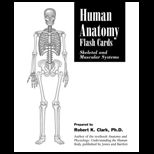 Human Anatomy : Skeletal and Muscular Systems   Flash Cards (New Only)