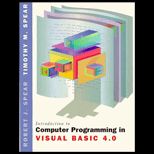 Introduction to Computer Programming in Visual Basic 4.0   Text Only