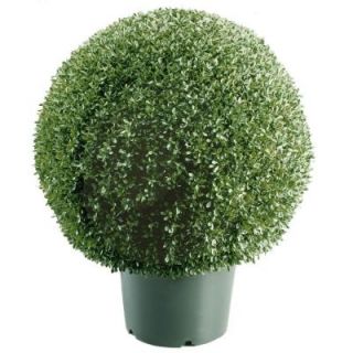 National Tree Company 20 in. Mini Boxwood Ball Shaped Artificial Topiary Tree in 9 in. Round Green Growers Pot LBXM4 700 20