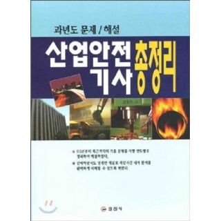 Occupational Safety and commentary articles mopping past fiscal year issues (Korean edition): Kang Yoonjin: 9788942909384: Books