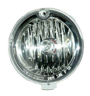 OE Replacement Ford Thunderbird Driver/Passenger Side Fog Light Assembly (Partslink Number FO2592187): Automotive