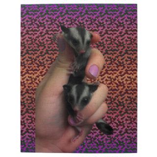 Baby Sugar Glider Puzzle