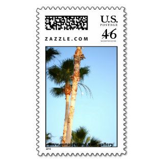 Palm Tree in Orlando Florida Postage Stamps
