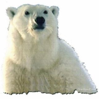 "POLAR BEAR CHIEF" Photo Sculpture Gift Item