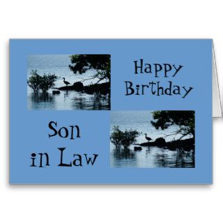 Happy Birthday Son in law, duck on island Greeting Card