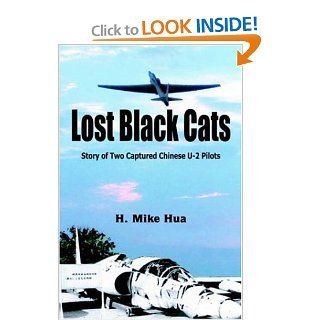 Lost Black Cats (9781418499174): H. Mike Hua, Xijun Hua: Books