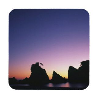 Silhouette of Stacks and Tree against Colorful Eve Beverage Coasters