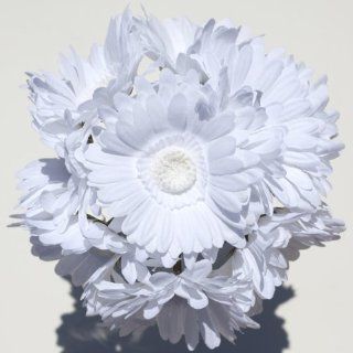 Gerbera Daisy Bouquet   White  