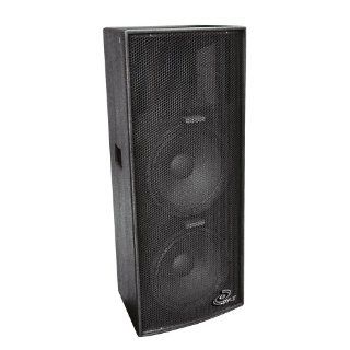 PylePro PPAD122 Dual 12 Inch Heavy Duty 3 Way Speaker Cabinet: Musical Instruments