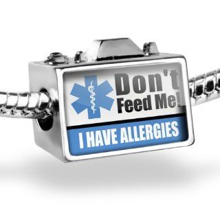 Neonblond Bead Camera Medical Alert Blue "I have Allergys"   Fits Pandora charm Bracelet: NEONBLOND Jewelry & Accessories: Jewelry