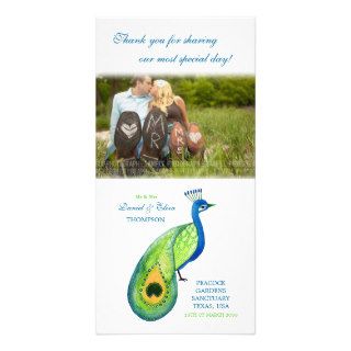 Thank You Watercolor Peacock Wedding Photo Card