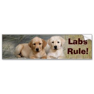 Labrador Retriever Bumper Sticker Puppies Rule