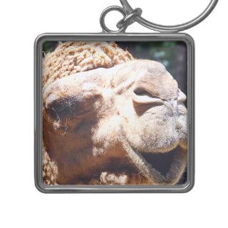 Dromedary One Hump Camel Face Closeup Keychain