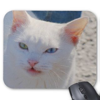 White cat with blue eye and green eye mousepads