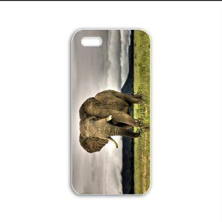 Design Iphone 5C Animals Series african elephant animal Black Case of Girlfriend Case Cover For Girls: Cell Phones & Accessories