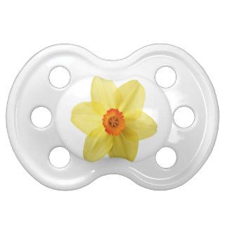 Yellow daffodil in spring baby pacifier