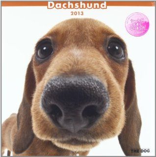 Japanese Animal Calendar 2013 THE DOG Dachshund #K366SS (japan import) 4582259884595 Books
