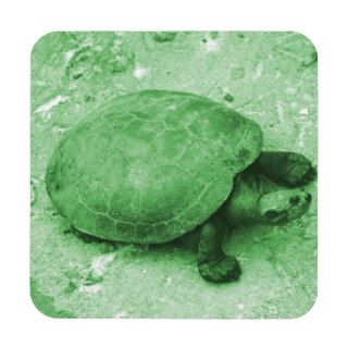 water turtle on bank green reptile drink coaster
