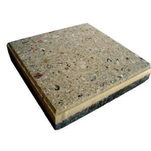 Earth Surfaces of America 12 in. x 12 in. Paver Buff with Shells and Abalone (99 sq. ft. per pallet) BF12P