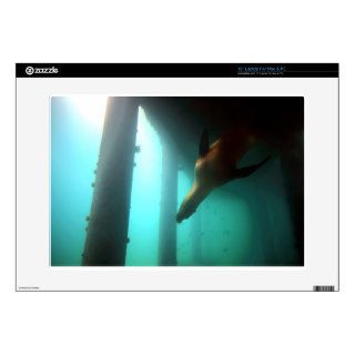 Sea lion swimming underwater below pier skins for laptops