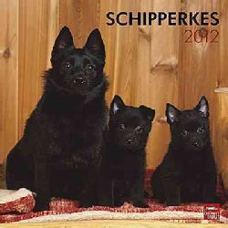 Schipperkes 2012 Calendar (Calendar) Dogs