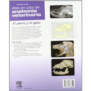 Atlas en color de anatoma veterinaria : el perro y el gato: Stanley H. Done: 9788480866620: Books