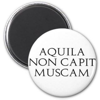 Aquila Non Capit Muscam Magnet