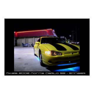 2002 Monte Carlo SS Posters