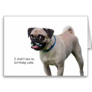 Pug Birthday Card by Focus for a Cause