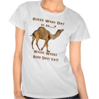 Its Hump Day Shirt