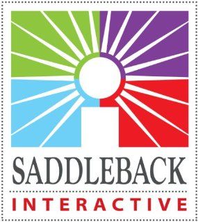 Integers and Decimals (Easy to Use Interactive Smart Board Lessons (Mathskills)): Saddleback Educational Publishing: 9781616515010: Books