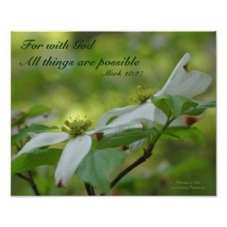 Dogwood Blossoms Bible Quote Inspirational Poster