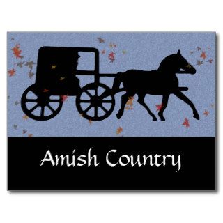 Amish Horse & Buggy Post Cards