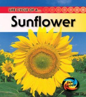 Life Cycle of a Sunflower (Young Explorer: Life Cycles): Angela Royston: 9780431999685: Books
