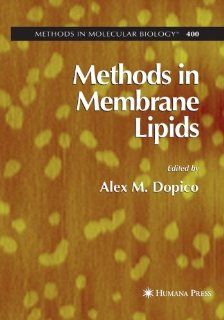 Methods in Membrane Lipids (Methods in Molecular Biology) (9781588296627): Alex Dopico  MD  PhD: Books
