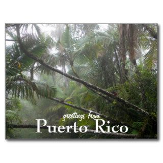 El Yunque, Puerto Rico Postcard