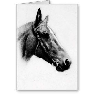 Black & White Horse Greeting Cards