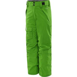 THE NORTH FACE Boys Freedom Ski Pants   Size: XS/Extra Small, Flashlight Green