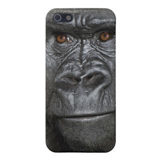 Young Silverback Gorilla iPhone 5 Case