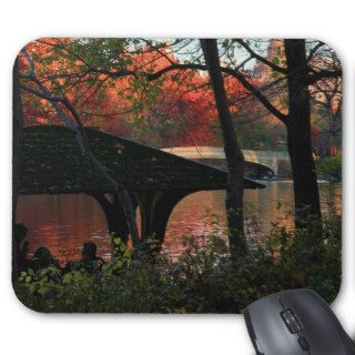 Central Park Conversation Across Bow Bridge Mouse Pad