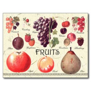Fruits Illustration Postcards
