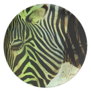 Zebra Abstract Party Plate