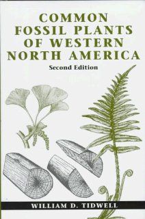 Common Fossil Plants of Western North America: William D. Tidwell: 9781560987833: Books