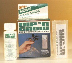 Rooting Hormone Concentrate   2 oz (60ml) : Bonsai Tools : Patio, Lawn & Garden