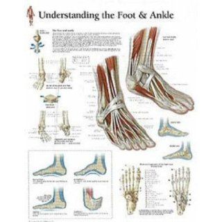 Understanding the Foot & Ankle chart: Wall Chart: Scientific Publishing: 9781930633728: Books