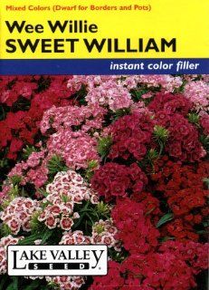 Lake Valley 690 Sweet William Wee Willie Mixed Colors Seed Packet : Flowering Plants : Patio, Lawn & Garden