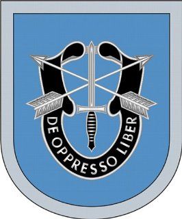 US Army 9th Special Forces Group Flash Vinyl Decal Sticker 5.5": Everything Else