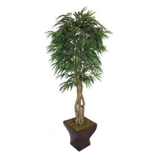 Laura Ashley Home Tall Willow Ficus with Multiple Trunks in Fiberstone