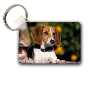 Beagle puppy cute Keychain Key Chain Great Unique Gift Idea: Everything Else